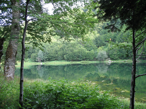 Donje Bare - Zelengora